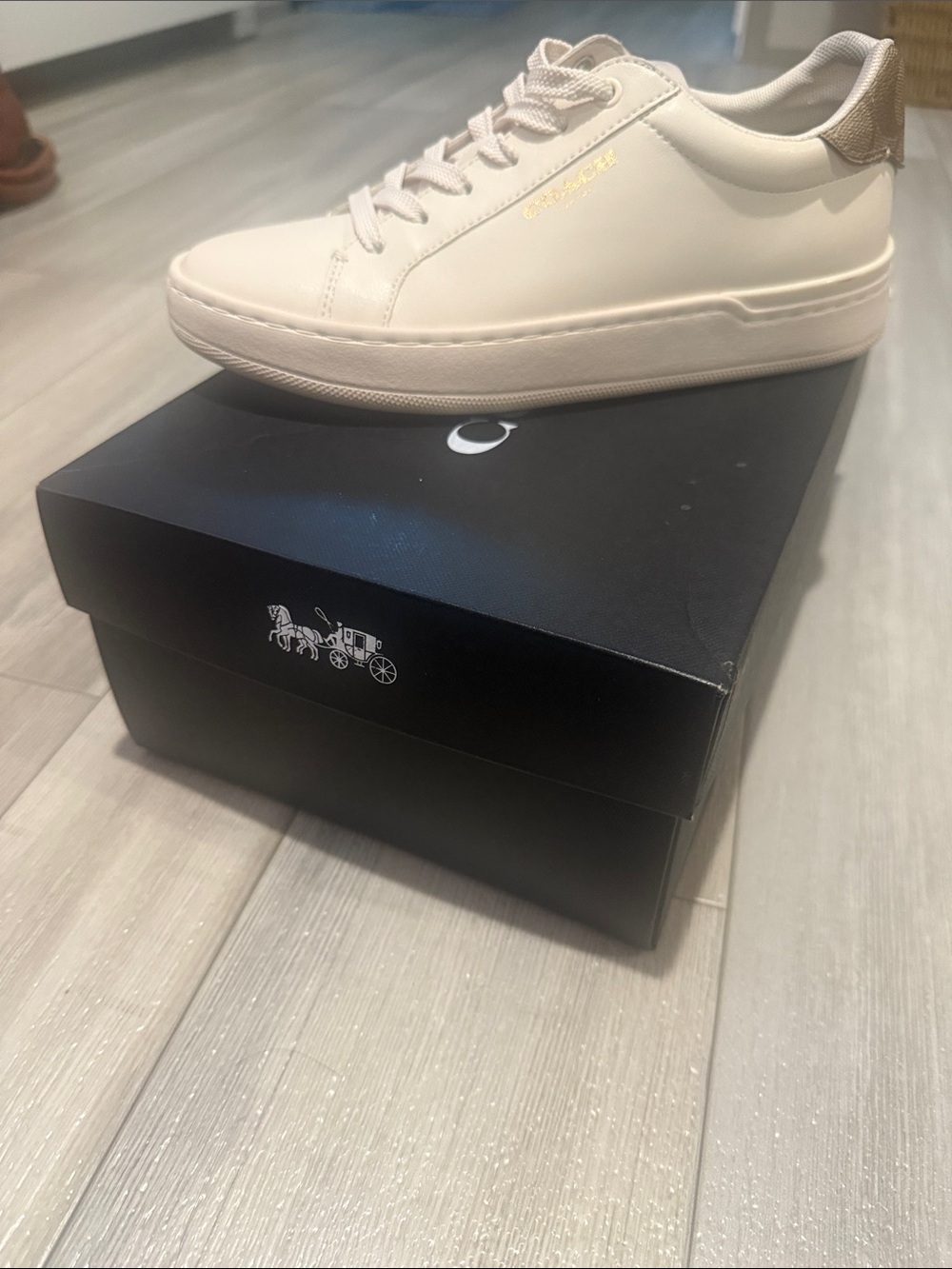Women’s Coach Sneaker